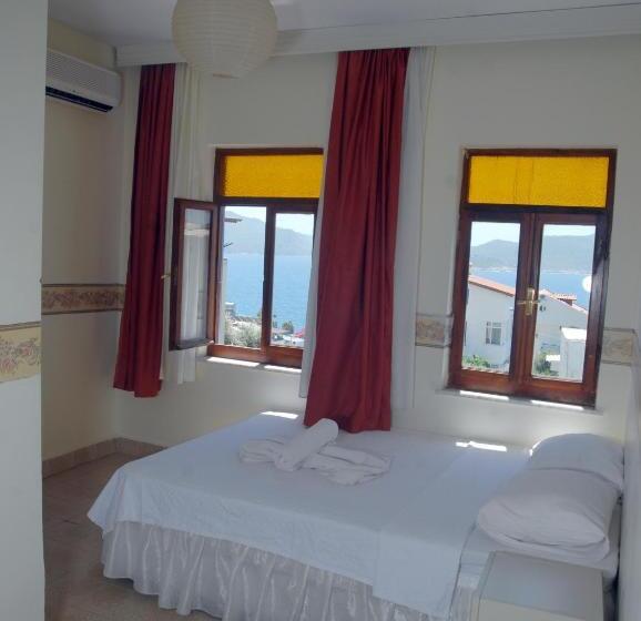 غرفة قياسية, Ates Pension