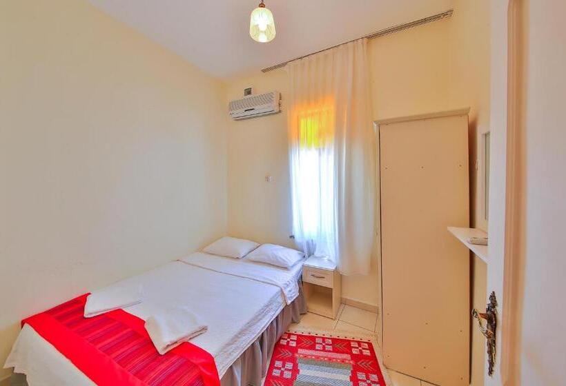 غرفة قياسية, Ates Pension