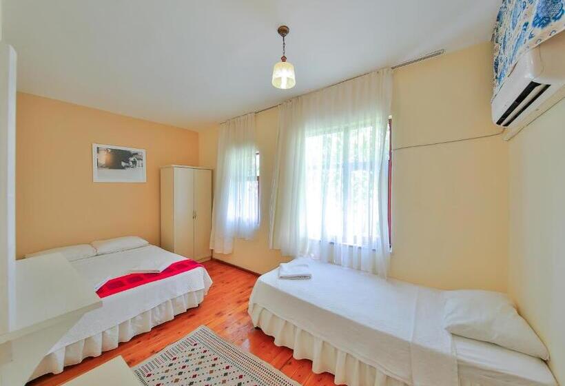 غرفة قياسية, Ates Pension