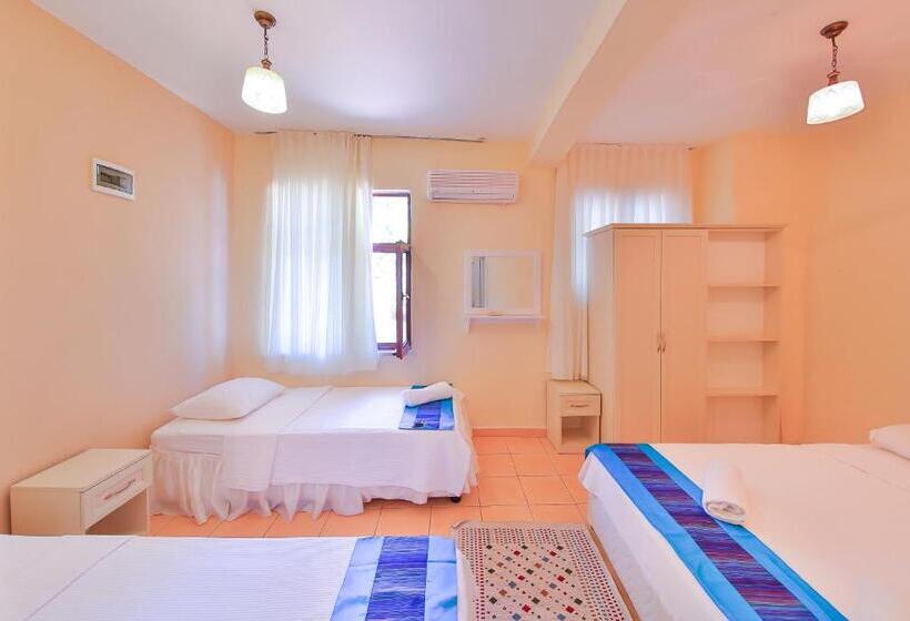 غرفة قياسية رباعية, Ates Pension