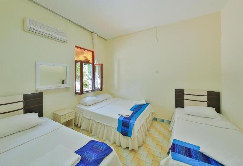 غرفة قياسية رباعية, Ates Pension