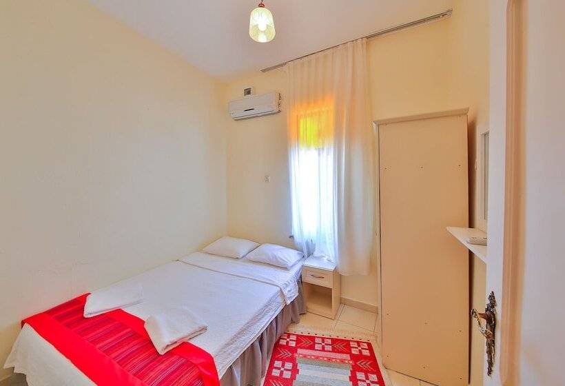 غرفة قياسية, Ates Pension