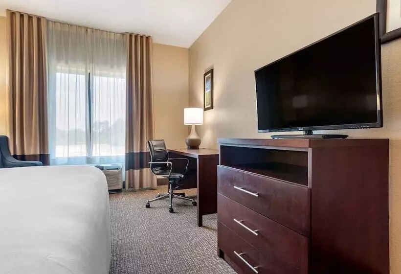 スタンダードルーム, Comfort Inn & Suites
