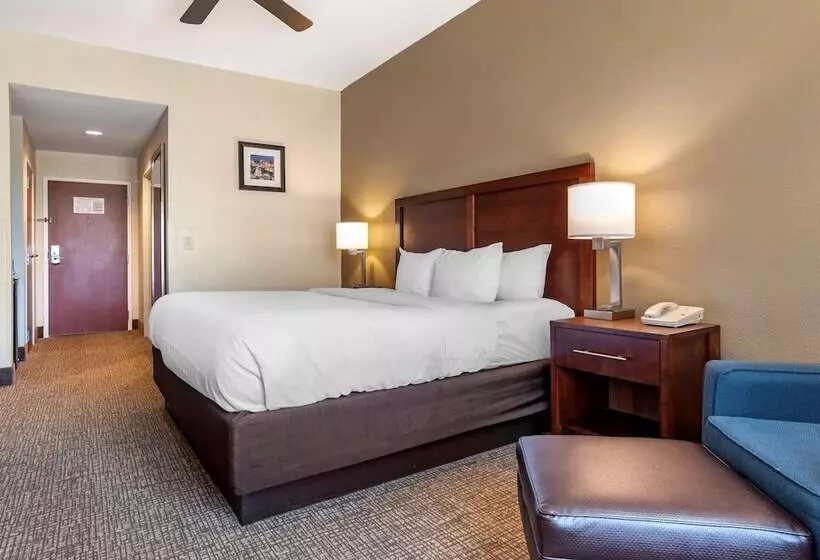 スタンダードルーム, Comfort Inn & Suites
