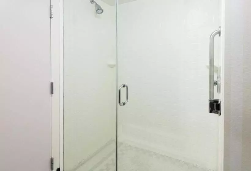 اتاق استاندارد با تخت بزرگ, Fairfield Inn & Suites By Marriott Buffalo Airport
