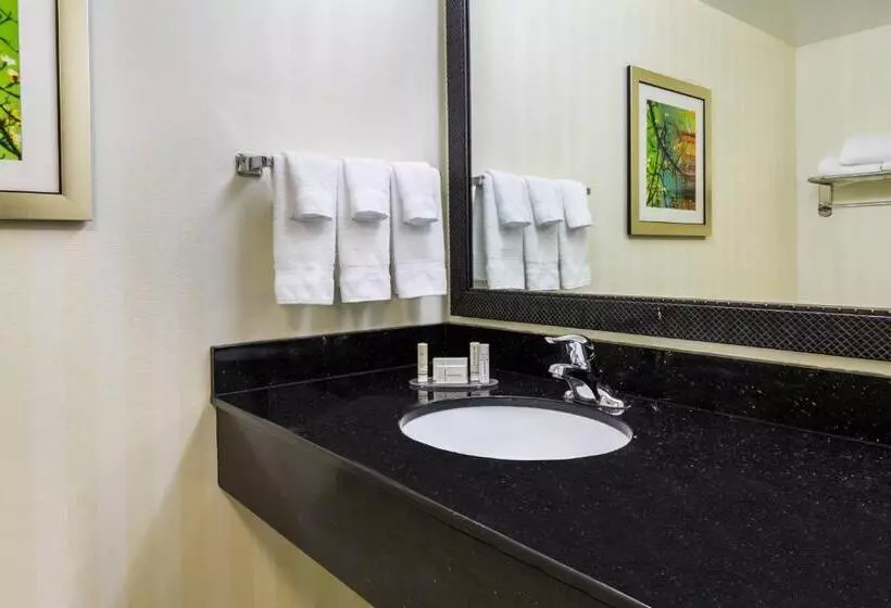 اتاق استاندارد با تخت بزرگ, Fairfield Inn & Suites By Marriott Buffalo Airport