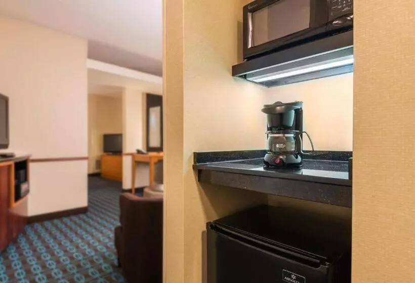 استودیو استاندارد با تخت کینگ, Fairfield Inn & Suites By Marriott Buffalo Airport