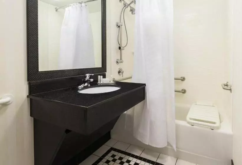 استودیوی استاندارد, Fairfield Inn & Suites By Marriott Buffalo Airport