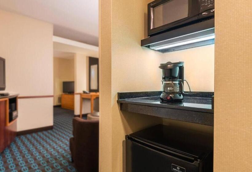 سوئیت با تخت بزرگ, Fairfield Inn & Suites – Buffalo Airport