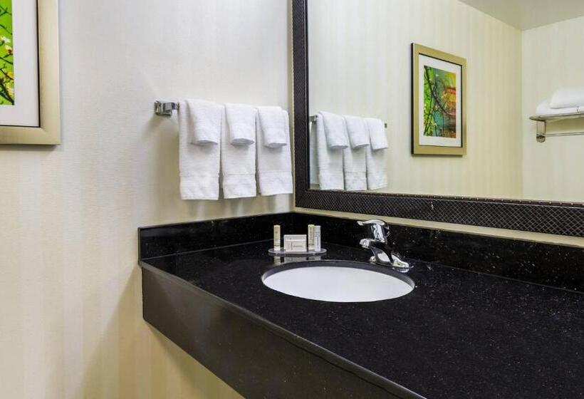 Люкс Кровать Кинг, Fairfield Inn & Suites – Buffalo Airport