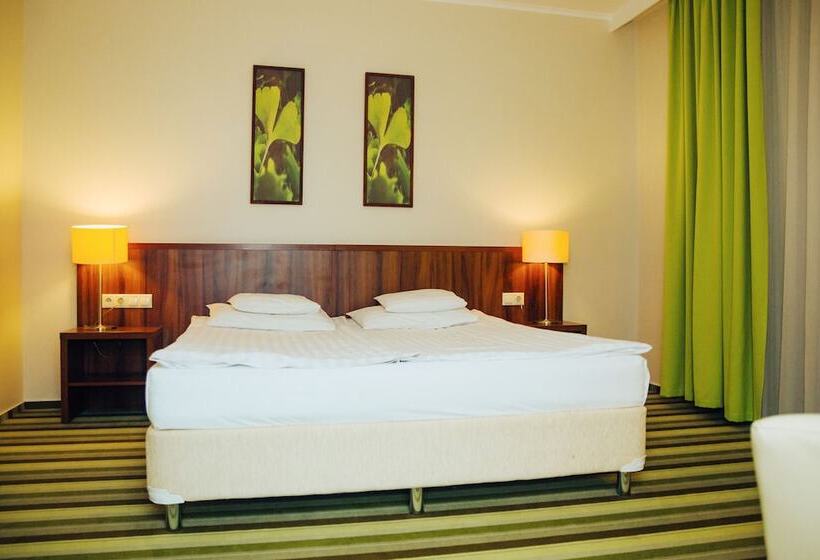 Номер Стандарт, Ginkgo