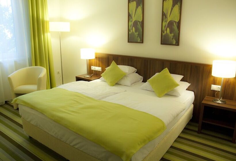 Номер Стандарт, Ginkgo