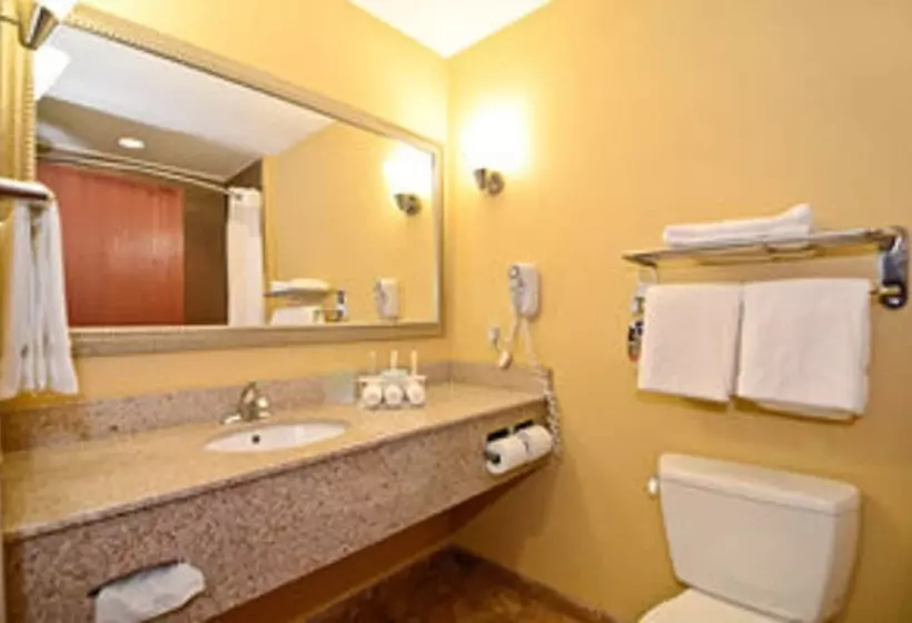 スタンダードルーム, Holiday Inn Express & Suites Bonifay, An Ihg