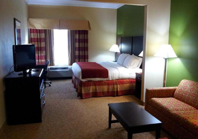 キングサイズベッドのスイートルーム, Holiday Inn Express & Suites Bonifay, An Ihg