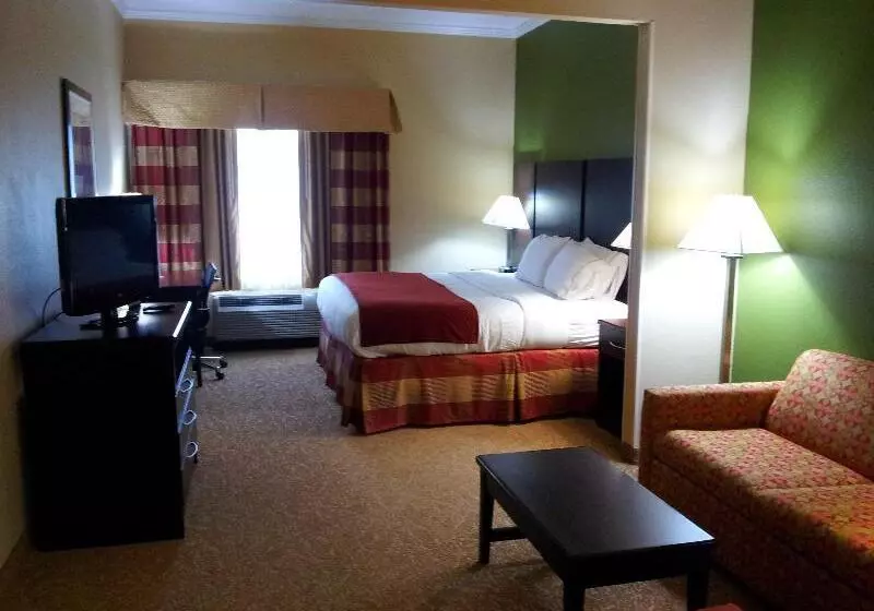 キングサイズベッドのスイートルーム, Holiday Inn Express & Suites Bonifay, An Ihg