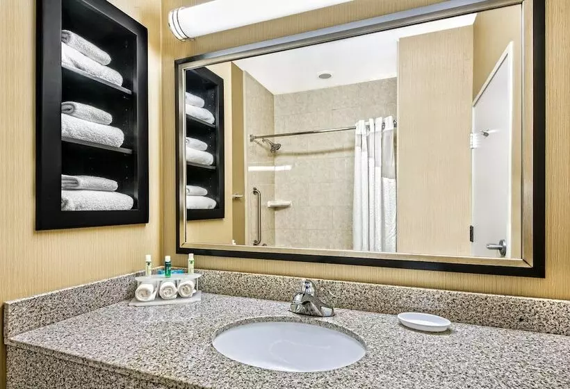 Sviitti, Holiday Inn Express & Suites Cotulla, An Ihg