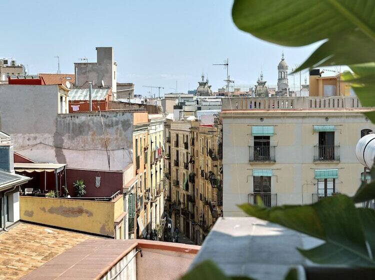 سوئیت جونیور با تراس, Musik Boutique