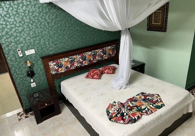 标准间, New Dodoma