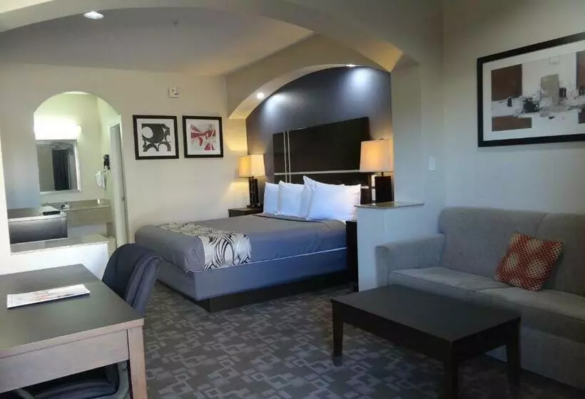 キングサイズベッドのスイートルーム, Regency Inn & Suites  Baytown