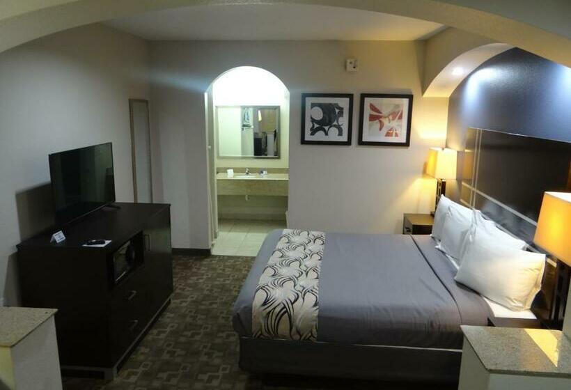 带大床的套房, Regency Inn & Suites  Baytown