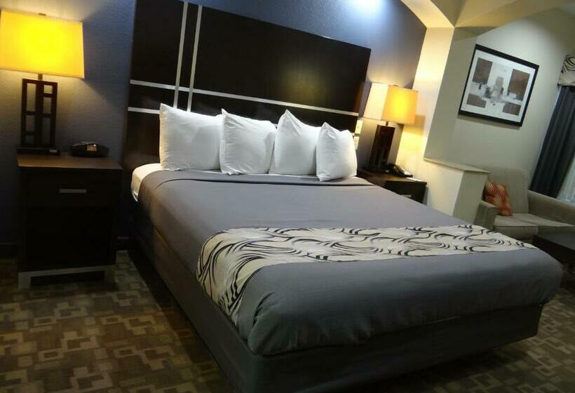 מיטת קינג בסוויטה, Regency Inn & Suites  Baytown