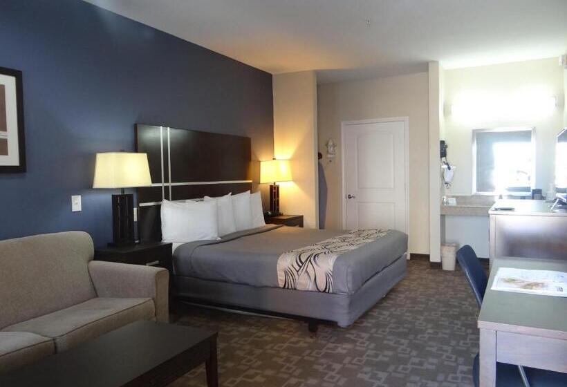 适合残疾人士使用的带超级大床的标准间, Regency Inn & Suites  Baytown