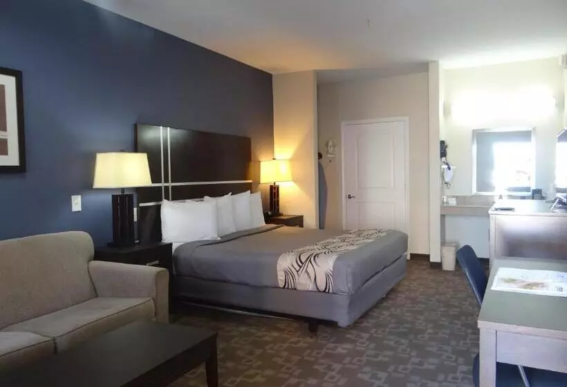 身障者適用キングサイズベッドルーム, Regency Inn & Suites  Baytown