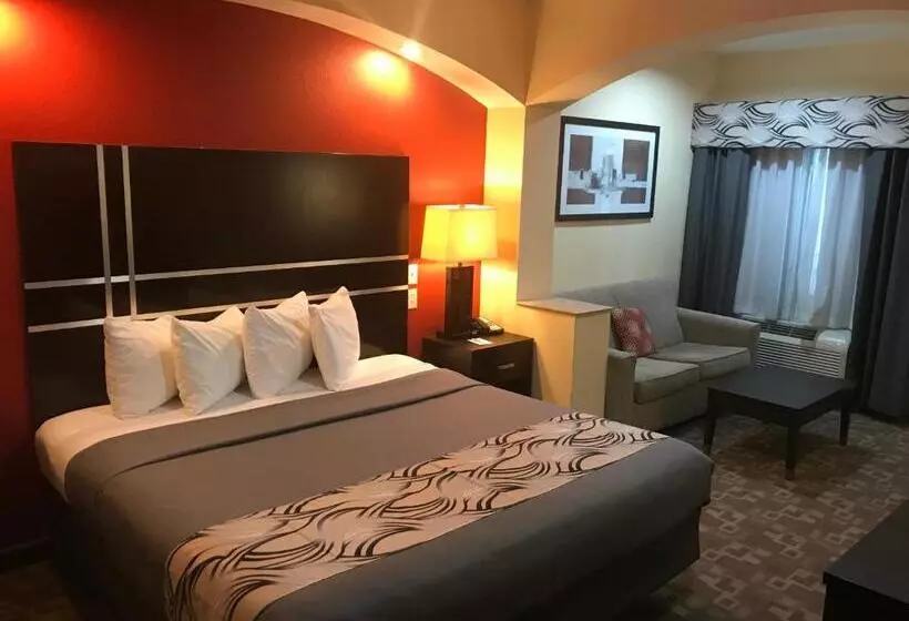 身障者適用キングサイズベッドルーム, Regency Inn & Suites  Baytown