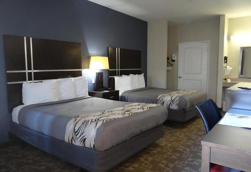 适合残疾人使用的标准间, Regency Inn & Suites  Baytown