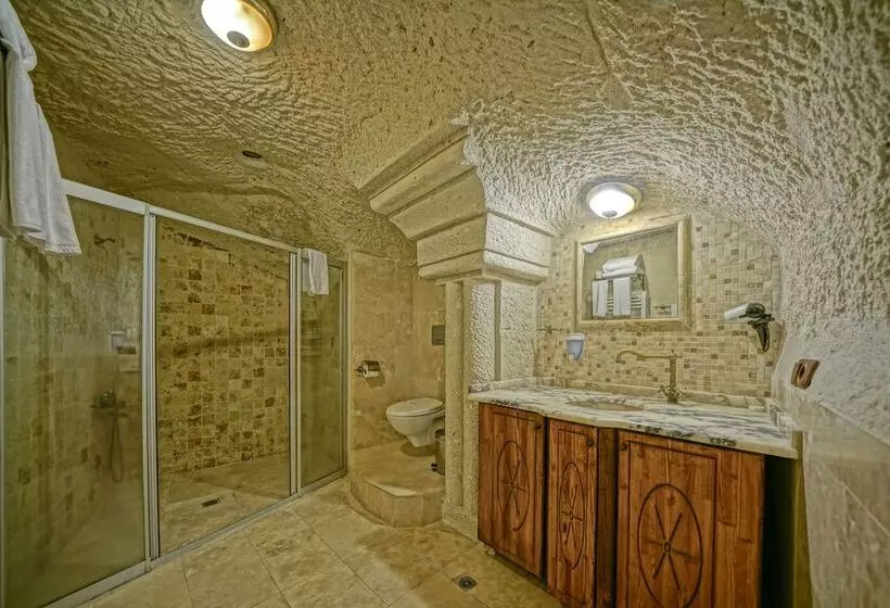 スタンダードルーム, Elysee Cave House