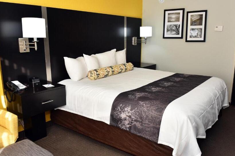 غرفة قياسية سرير كينج لذوى الإحتياجات الخاصة, Best Western Plus Fairburnatlanta Southwest