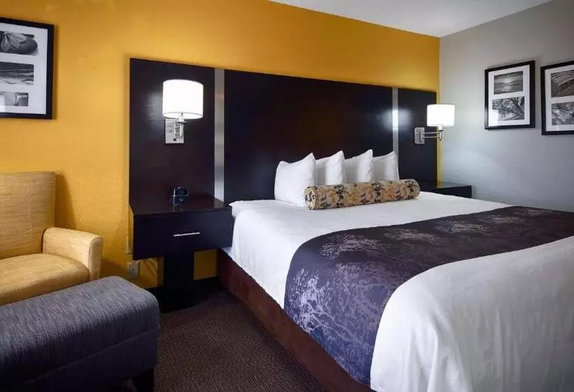 身障者適用キングサイズベッドルーム, Best Western Plus Fairburnatlanta Southwest