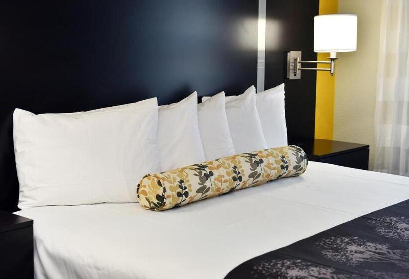 غرفة قياسية سرير كينج, Best Western Plus Fairburnatlanta Southwest