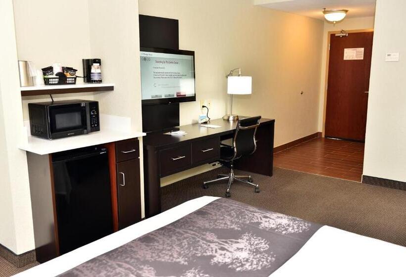 Стандартный Номер Кровать Кинг, Best Western Plus Fairburnatlanta Southwest