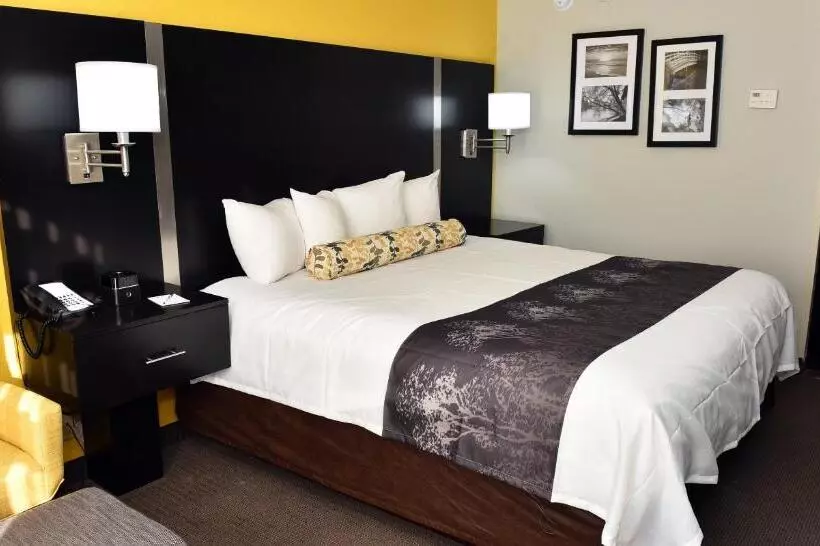 キングサイズベッドのスタンダードルーム, Best Western Plus Fairburnatlanta Southwest