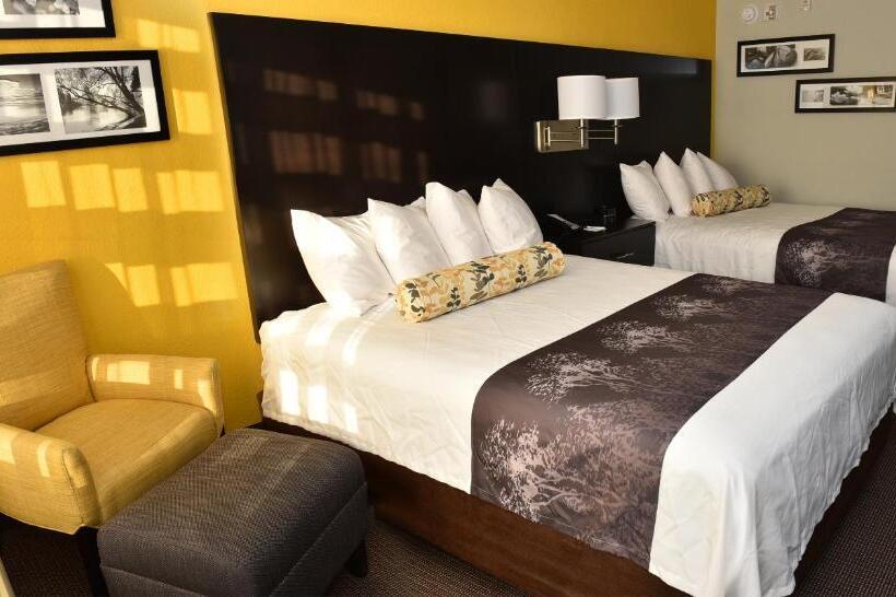 غرفة قياسية, Best Western Plus Fairburnatlanta Southwest