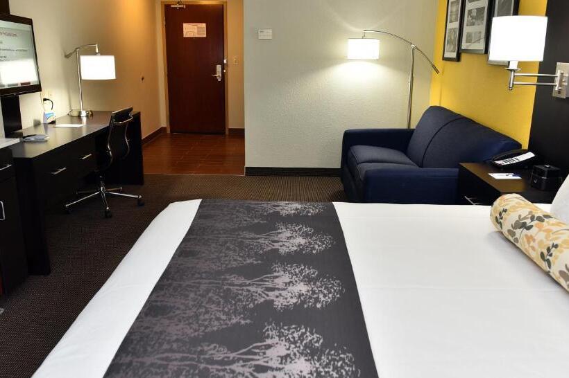 غرفة إدارية سرير كينج, Best Western Plus Fairburnatlanta Southwest