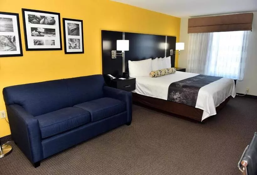 キングサイズベッドのエクゼクティブルーム, Best Western Plus Fairburnatlanta Southwest