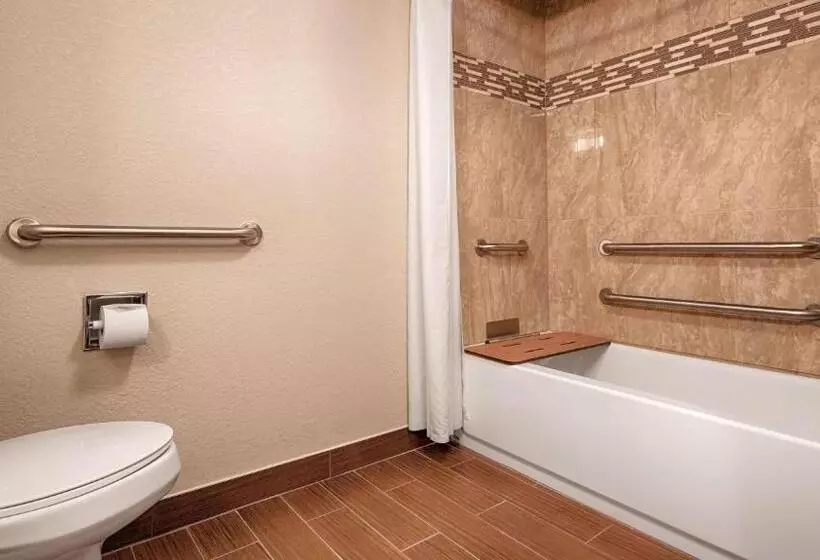 身障者適用スタンダードルーム, Best Western Plus Fairburnatlanta Southwest