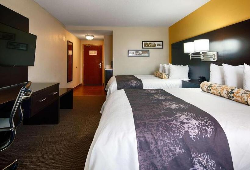 غرفة قياسية لذوى الاحتياجات الخاصة, Best Western Plus Fairburnatlanta Southwest