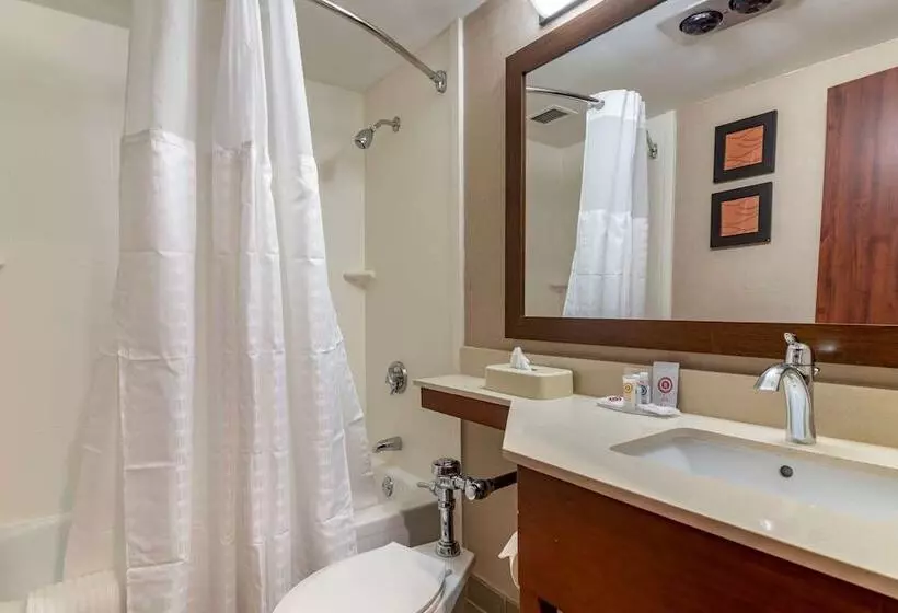 ２ダブルベッドのスタンダードルーム, Comfort Inn Airport