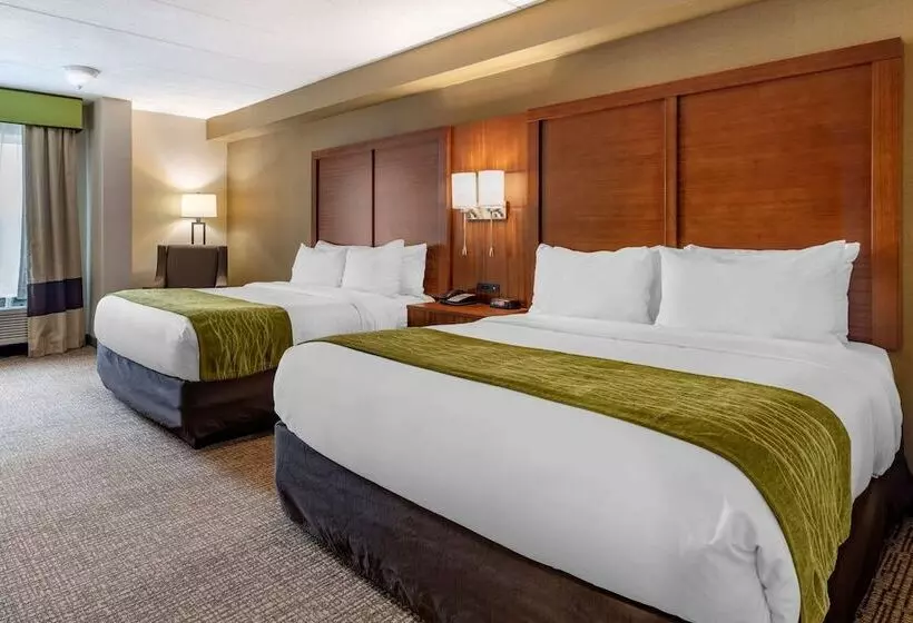 ２ダブルベッドのスタンダードルーム, Comfort Inn Airport