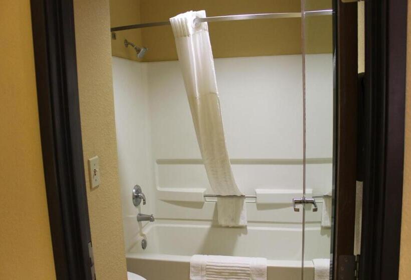 Стандартный Номер Кровать Кинг, Comfort Inn Green Valley I 19