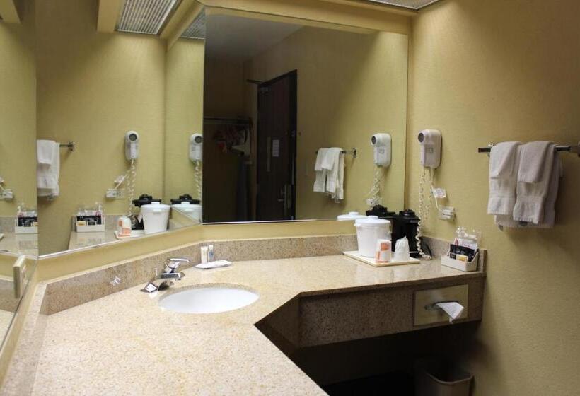 מיטת קינג בסוויטה, Comfort Inn Green Valley I 19