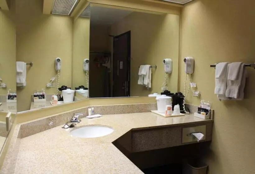キングサイズベッドのスイートルーム, Comfort Inn Green Valley I 19