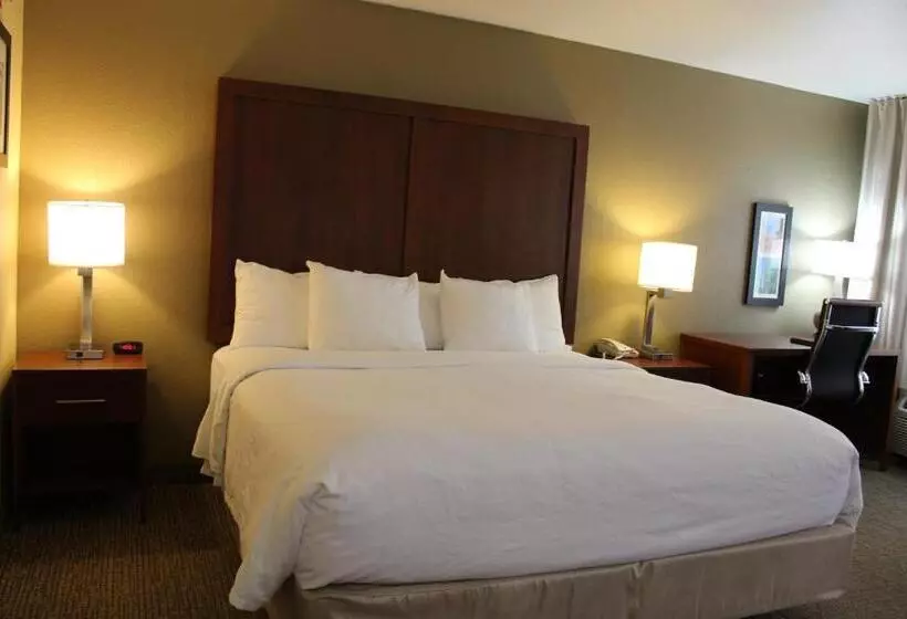 キングサイズベッドのスイートルーム, Comfort Inn Green Valley I 19