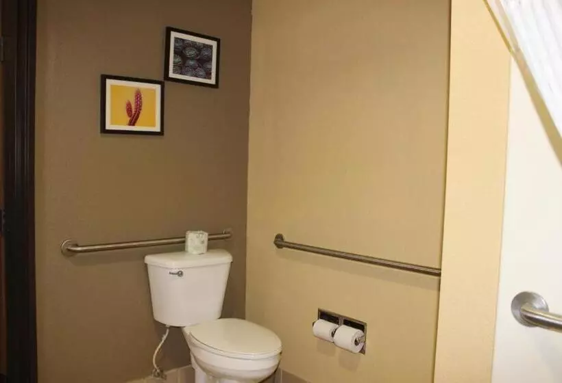 身障者適用キングサイズベッドルーム, Comfort Inn Green Valley I 19