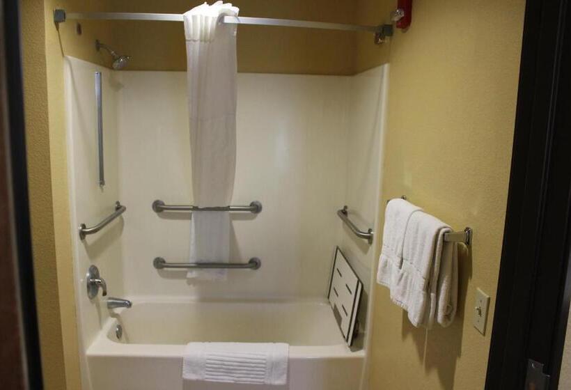 חדר סטנדרט, מיטת קינג, מותאם לאדם עם מוגבלויות, Comfort Inn Green Valley I 19