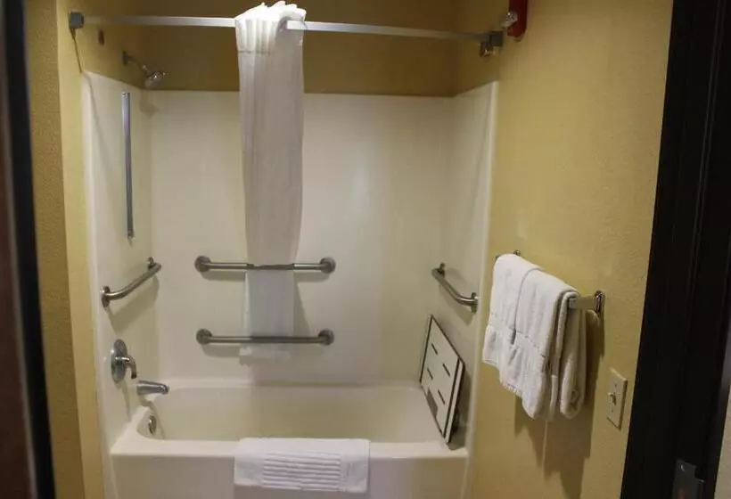 身障者適用キングサイズベッドルーム, Comfort Inn Green Valley I 19