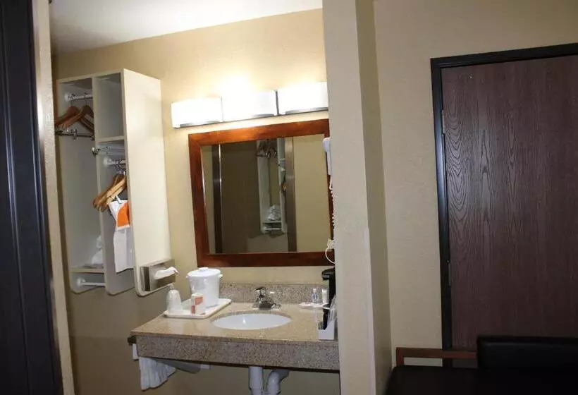 身障者適用キングサイズベッドルーム, Comfort Inn Green Valley I 19